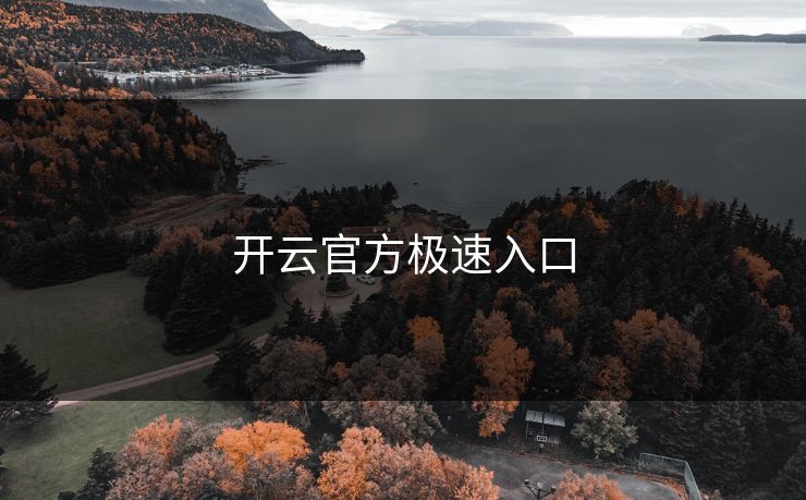 开云官方极速入口 开云官方极速入口