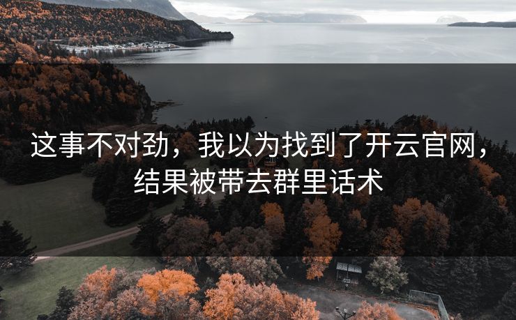 这事不对劲，我以为找到了开云官网，结果被带去群里话术